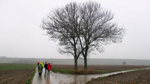 2018-01-06 Glühweinwanderung 014