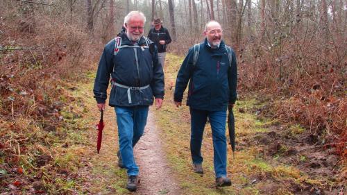 2018-03-10 Im Lenneberger Wald 008