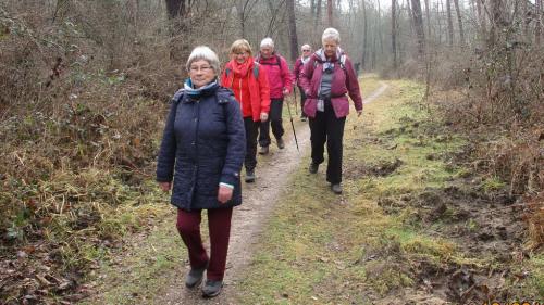 2018-03-10 Im Lenneberger Wald 011
