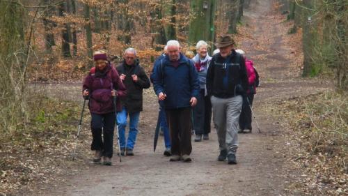 2018-03-10 Im Lenneberger Wald 025