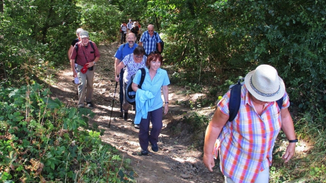 2018-08-11 Wanderung im Rheingau 013