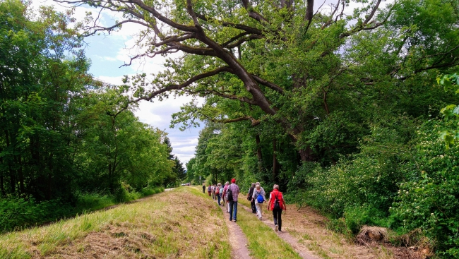 clone tag: -7898911945599121269