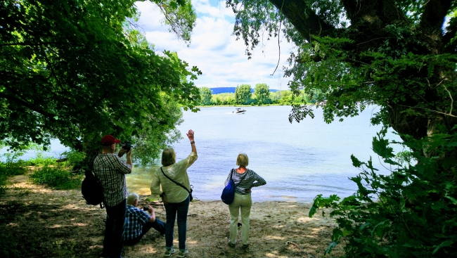 clone tag: 1801157233633353438clone tag: -4710847485512515761