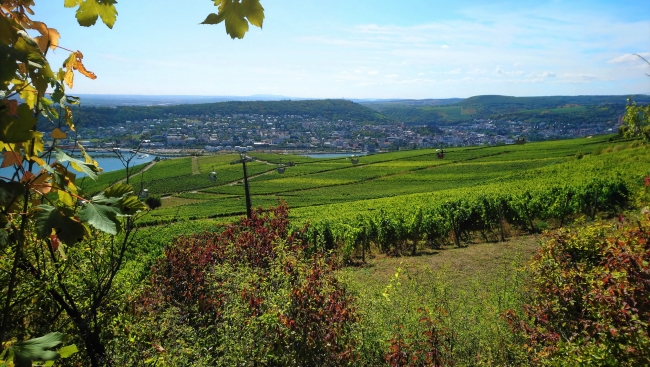 32,34,137,143.165619