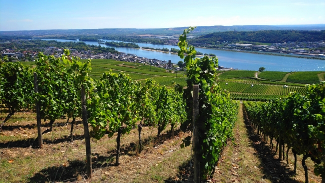 31,34,153,156.084656