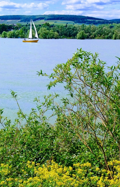 clone tag: 8040605128482834688