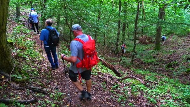 P1180437x-P1330963-k