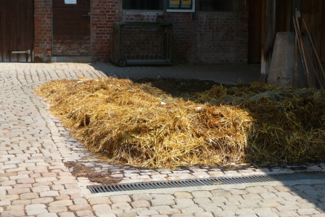 P1290891_Fürstengrund-k