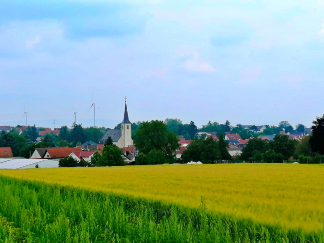 aIMG-20210626-WA0018