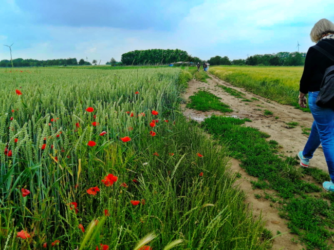 aImage 2021-06-26 at 07.44.41