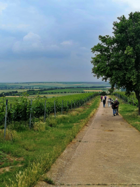 aImage 2021-06-26 at 07.44.42 (7)