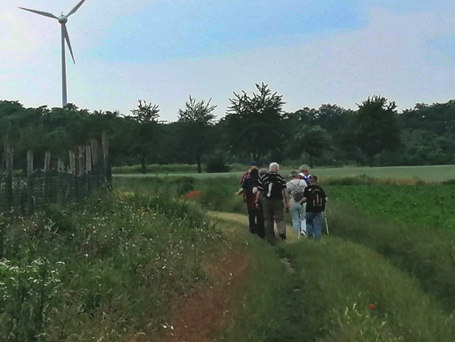 aImage 2021-06-26 at 07.44.42