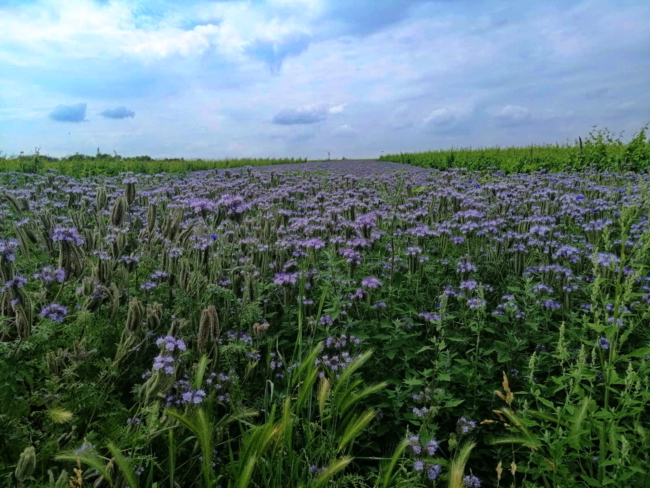 aImage 2021-06-26 at 07.44.43 (3)