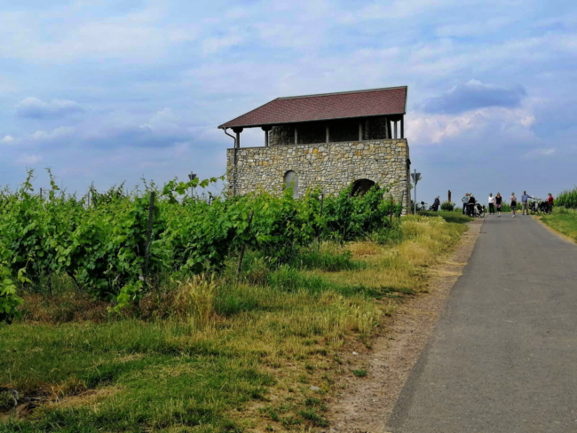 aImage 2021-06-26 at 07.44.43 (5)