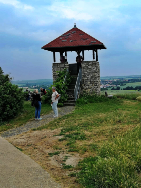 aImage 2021-06-26 at 07.44.43