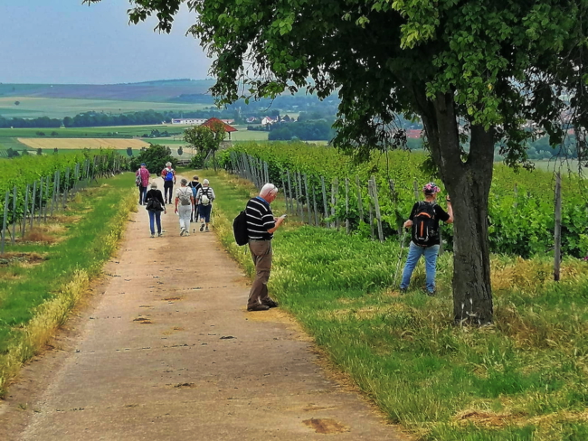 aImage 2021-06-26 at 07.44.44 (2)