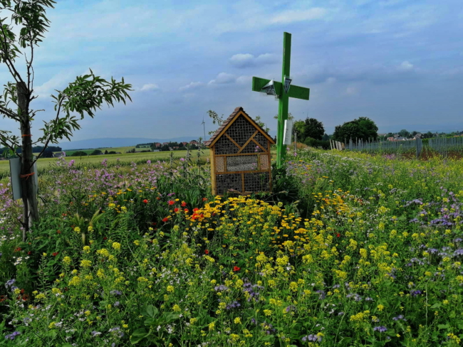 aImage 2021-06-26 at 07.44.44