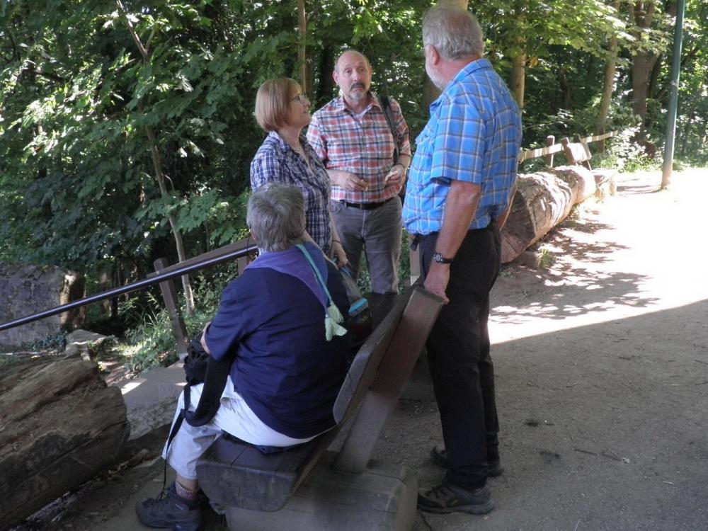 2017-06.10  Wanderung Böllenfalltor-Fischerhütte-Böllenfalltor 007