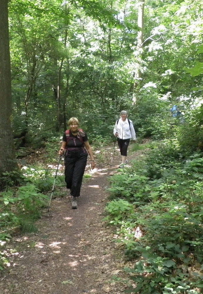 2017-06.10  Wanderung Böllenfalltor-Fischerhütte-Böllenfalltor 010