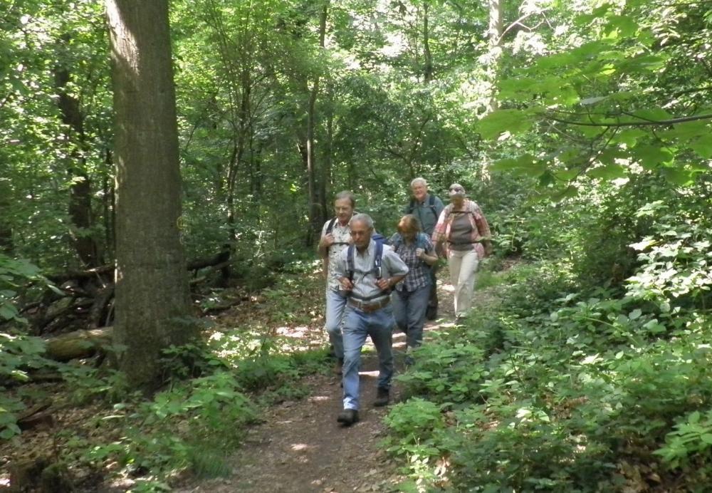2017-06.10  Wanderung Böllenfalltor-Fischerhütte-Böllenfalltor 013