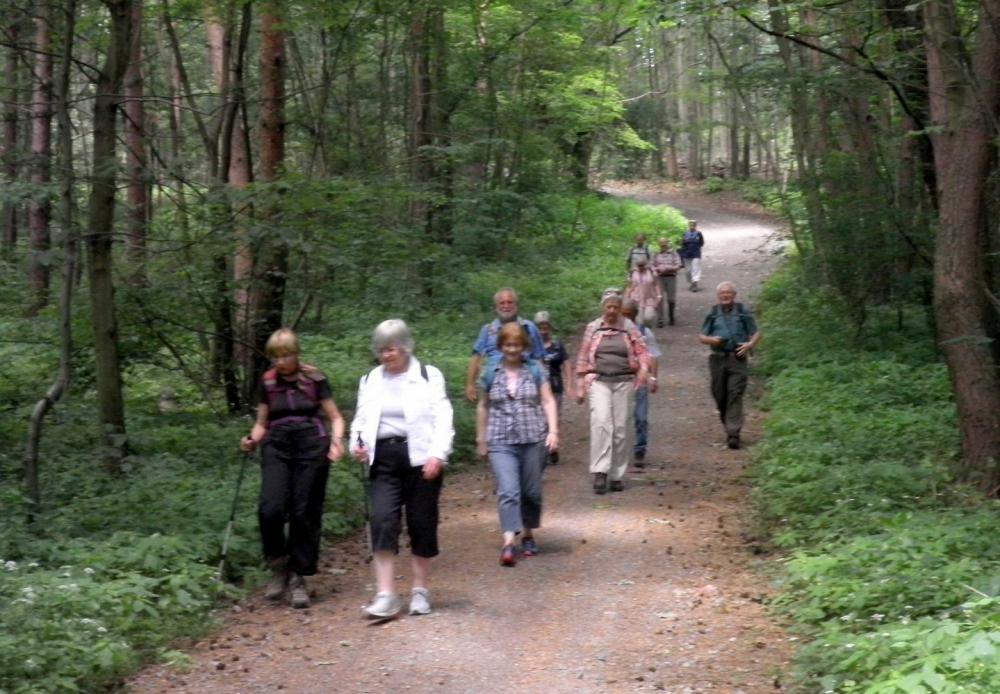 2017-06.10  Wanderung Böllenfalltor-Fischerhütte-Böllenfalltor 015