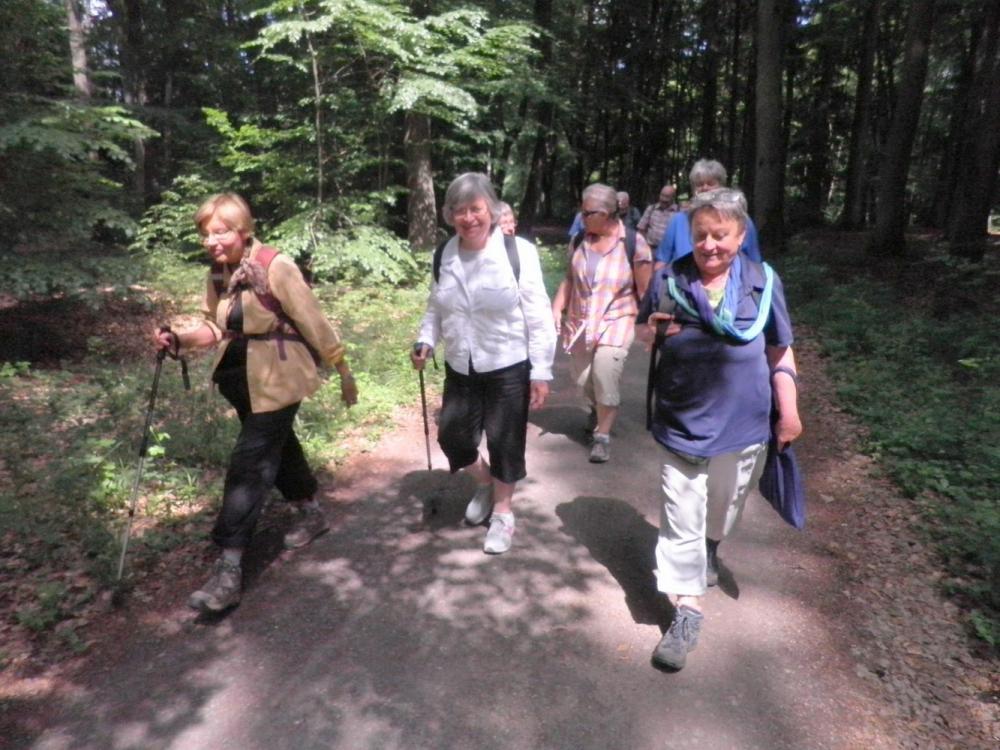 2017-06.10  Wanderung Böllenfalltor-Fischerhütte-Böllenfalltor 023