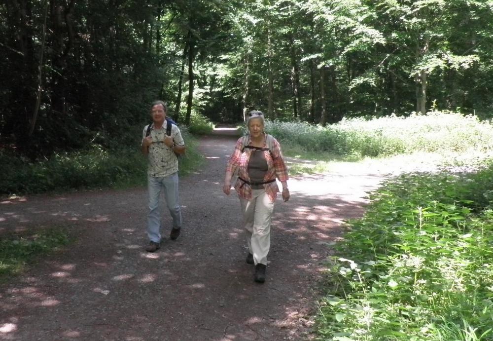 2017-06.10  Wanderung Böllenfalltor-Fischerhütte-Böllenfalltor 024