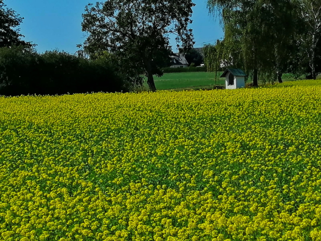 aIMG-20200917-WA0014