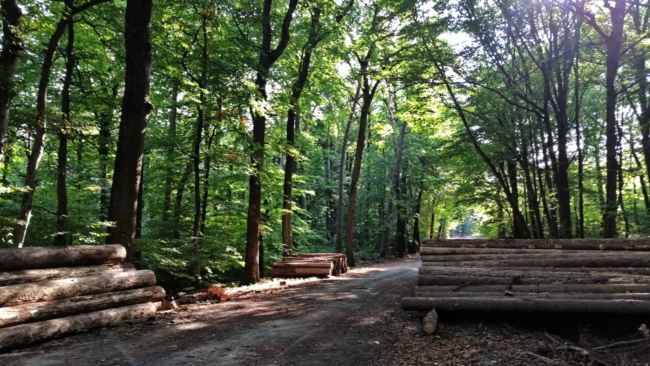 aIMG-20200918-WA0007