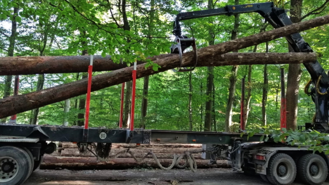 aIMG-20200918-WA0011