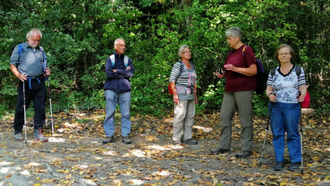 aIMG-20200918-WA0028